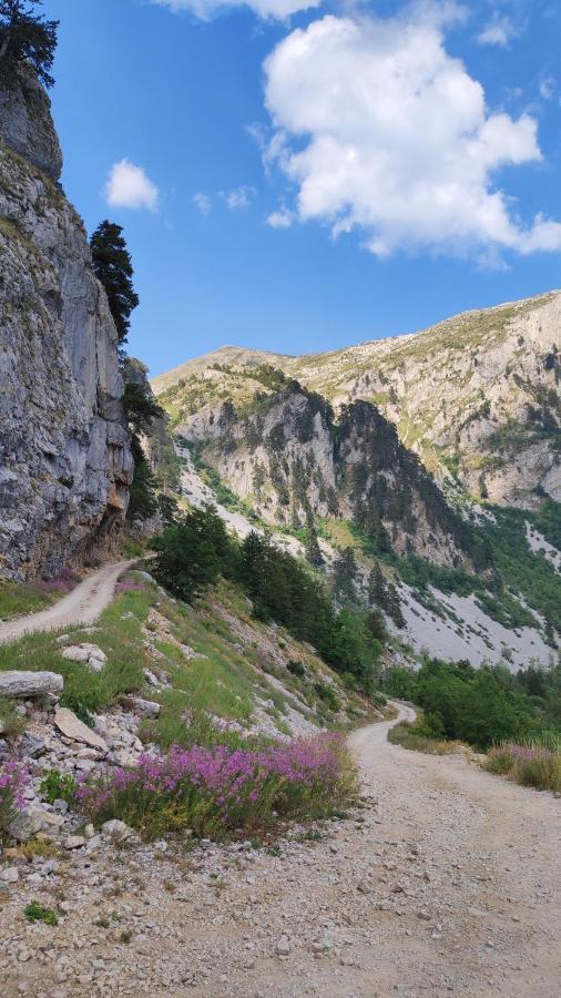 Katun Kuline Apartment Kolašin Екстериор снимка