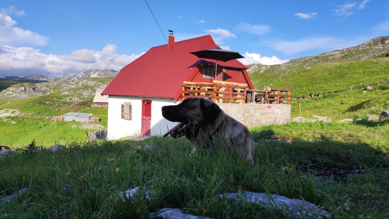 Katun Kuline Apartment Kolašin Екстериор снимка