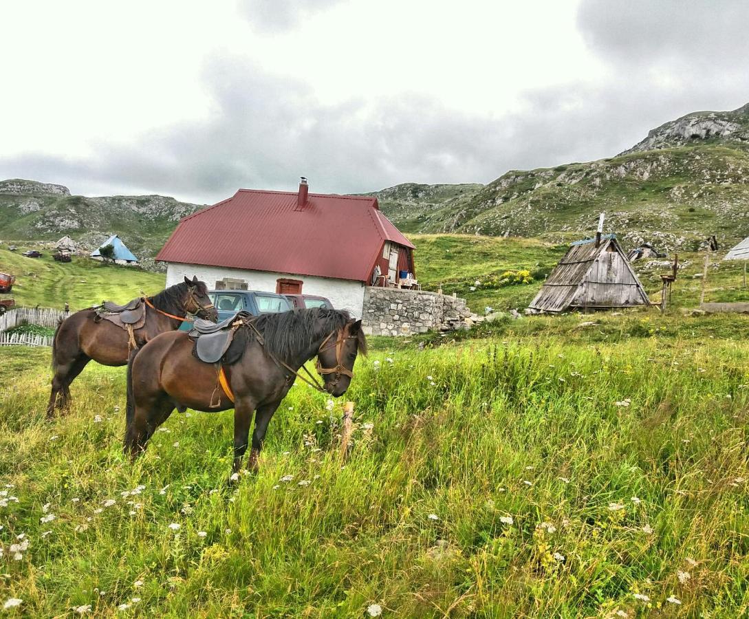 Katun Kuline Apartment Kolašin Екстериор снимка